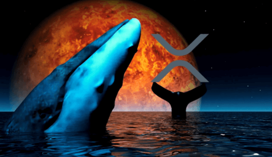 DeeStream (DST) Streaming Triumph: Attracts Ripple (XRP) Whale While Ethereum (ETH) Hits $3.5K in Crypto Surge